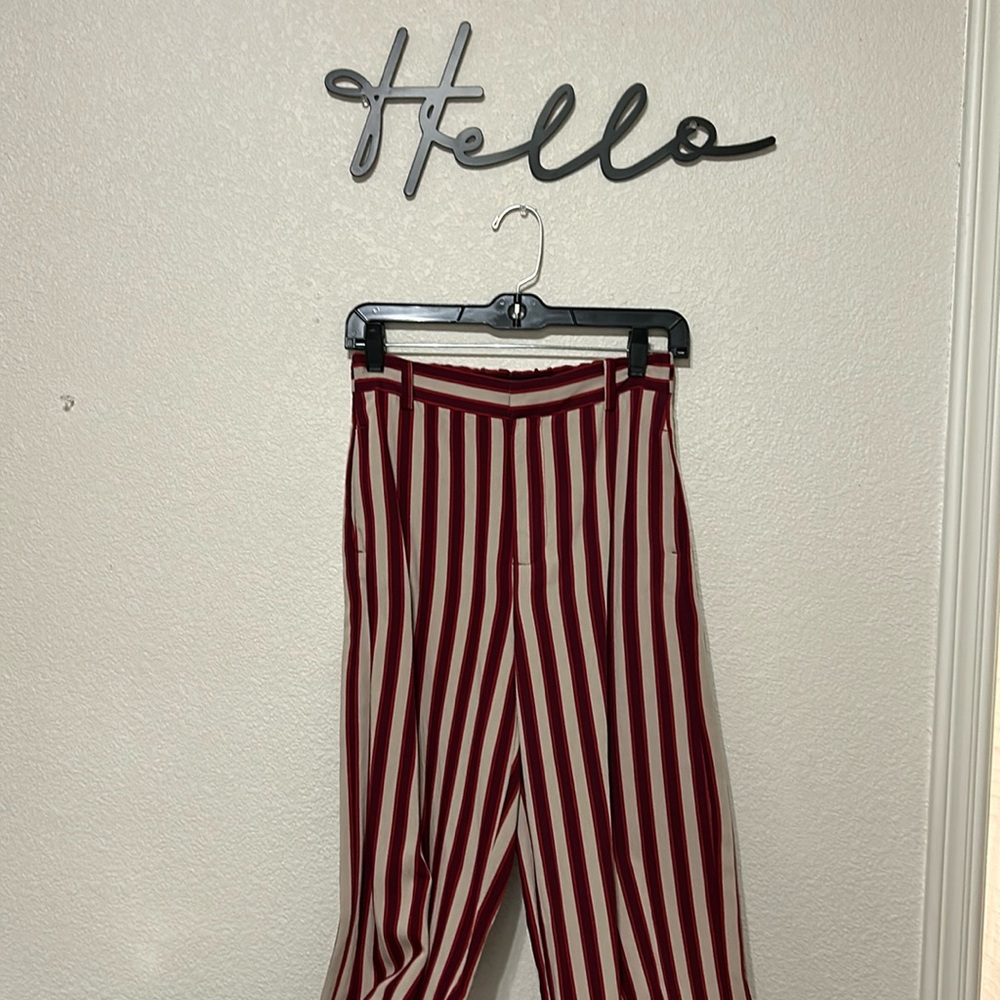 Zara pants
